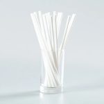 Eco Caterwares Paper Straw White