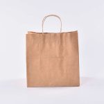 Eco caterwares Twisted Handle Paper Bag Kraft 1