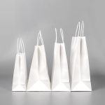 Eco caterwares Twisted Handle Paper Bag White 2