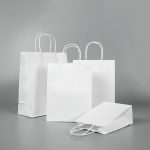 Eco caterwares Twisted Handle Paper Bag White 3