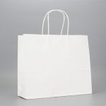 Eco caterwares Twisted Handle Paper Bag White Cover
